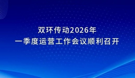 双环